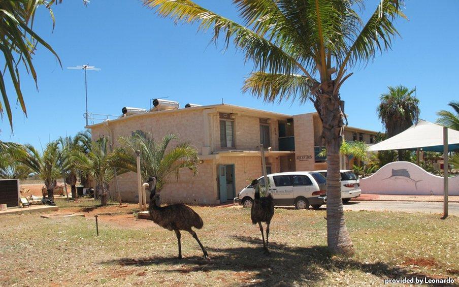 Sea Breeze Resort Exmouth Exteriör bild