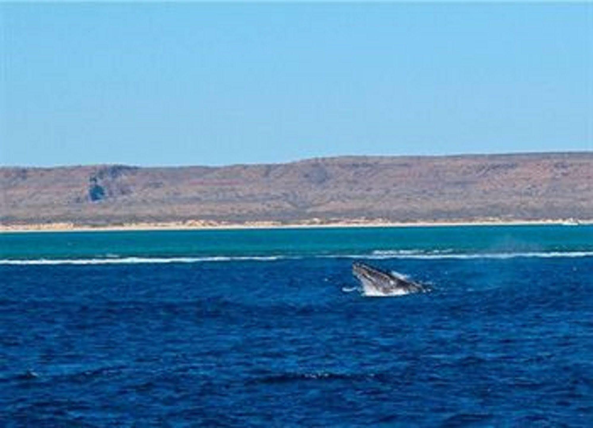 Sea Breeze Resort Exmouth Bekvämligheter bild